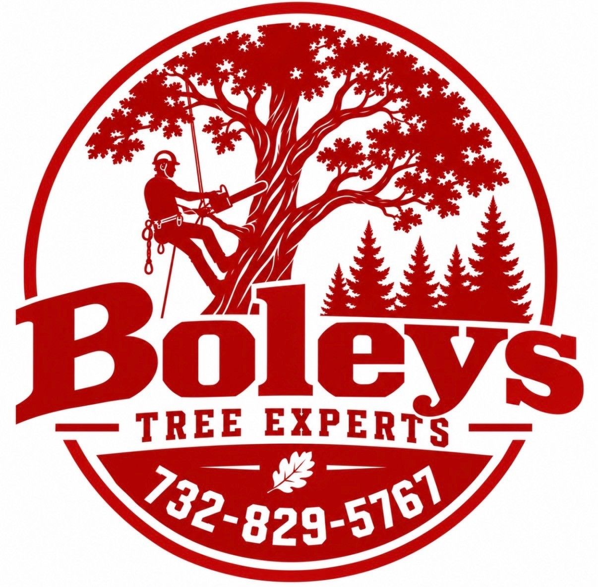 Boley's Tree Experts